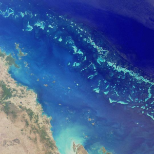 Barrier reef